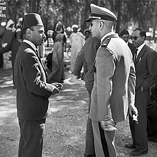 Bernard Larsson Photography